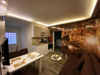 Skenderija-Cityscape apartments - Sarajevo - 9