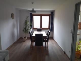 Appart 4 pers refait neuf 90m2 avec balcon - Baldenheim - 8