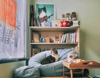 Sun Moment 鬆貓們民宿 - Toucheng - 8