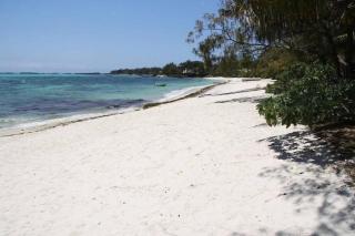 Modern Villa with service. Exceptional beach, private swimming pool - Roches Noires - 3