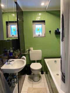 Ferienwohnung mit Talblick für Monteure - 1