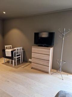 Stilren suite med egen inngang og kokemuligheter. - 3