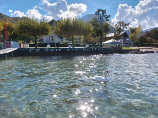 Charmant studio en rez de jardin au bord du lac d’Annecy - Duingt - 9