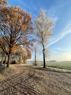 Wapen van Exloo - Exloo - 5