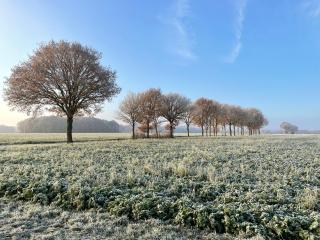 Wapen van Exloo - Exloo - 7