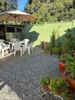 Hermosa y acogedora casa para vacacionar en Pucón. - Pucón - 9