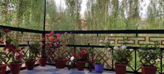 Nakpo Homestay - Leh - 5