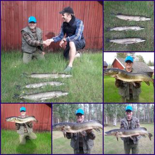 Holmsel - Vidsel - 7