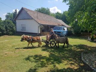 Afbeelding van de locatie