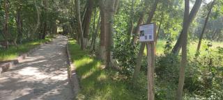Rano Eco Village - - 1