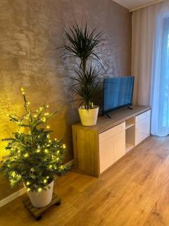 Apartmán Betula-apartmán v srdci Vysokých Tatier - Starý Smokovec - 4
