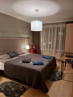 Cozy Stay In Downtown Reykjavik - 9