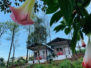 Kanasucoffeenadu - Attigundi - 4