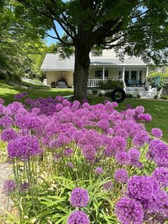 Carraig Mor Cottage - Beautiful House, Amazing Garden, Downtown Baileys Harbor - Baileys Harbor - 4