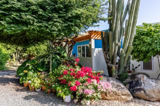Naïma Luxury Home, Cottage & Apartment Rentals - Paradera - 0