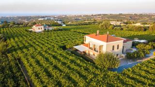 Cretan Vineyard Hill Villa 2 - Áno Kalésia - 5