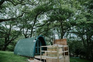 Willow SPECIAL WINTER OFFER - Hot tub & Log burner - Barmouth - 0
