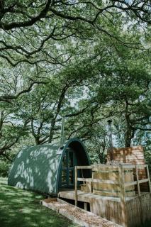 Willow SPECIAL WINTER OFFER - Hot tub & Log burner - Barmouth - 5