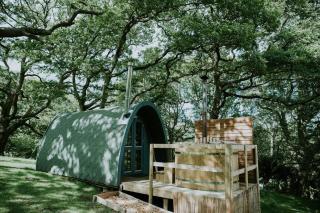 Willow SPECIAL WINTER OFFER - Hot tub & Log burner - Barmouth - 4
