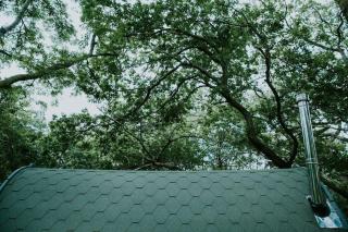 Willow Cabin & Hot Tub - Barmouth - 2