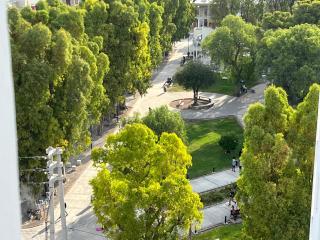 Ninfas Plaza - Puerto Madryn - 4
