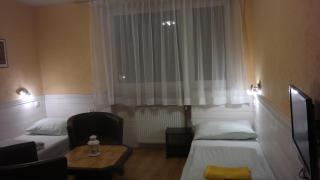 Villa Pod Orzechem w Zaniemyślu - Zaniemyśl - 1
