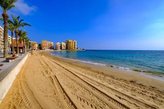 Holiday Suite Galeon I - Torrevieja - 6