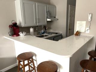 Deluxe Ski On Off 1BR Suite Sleeps 4 on Jiminy Mtn - Hancock - 6