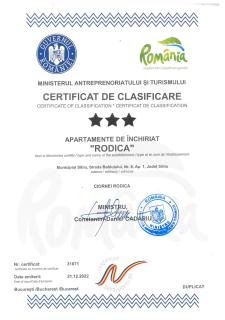Rodica Apartment - 9