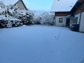 Pension Zum Paradies - Harthausen - 3