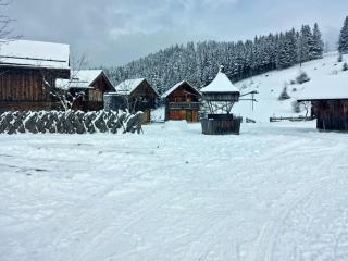 Sonnleit'n Zimmer 7 - Abtenau - 2