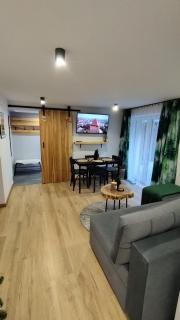 U Gazdy - apartament z sauną , jacuzzy, ogrodem i tarasem - przy Gondoli - 6