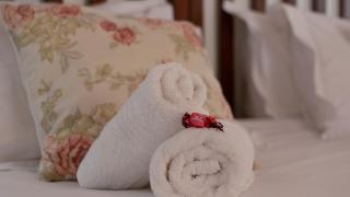 Eastcliff Cottage - 7