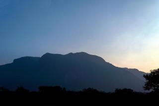 Bamboo Banks Farm & Guest House - Masinagudi - 9