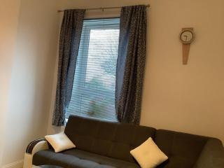 Ground Floor Apartment with Garden - Glasgow - 4