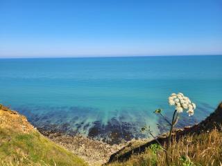 Le paradis normand - Saint-Pierre-en-Port - 1