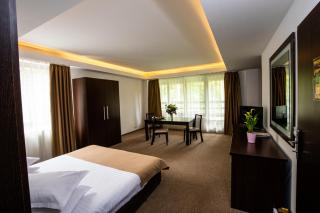 Hotel Smart - Sinaia - 7