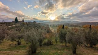 Siena House - 3