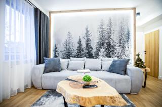 VisitZakopane - Radowid Loft Spa Apartment - Zakopane - 0
