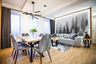 VisitZakopane - Radowid Loft Spa Apartment - Zakopane - 9