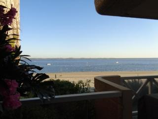Charmant T3 Proche Plage avec Parking et Wifi - FR-1-374-24 - Arcachon - 5