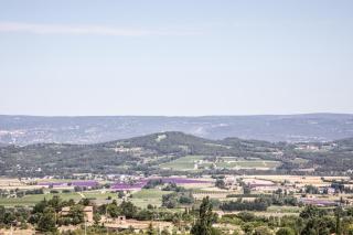 Le Clos Du Buis - Bonnieux - 8