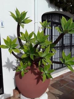 Holidays & Home Doña Lola Resort Calahonda - 6
