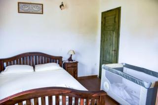 Villa Andreas-Dimitris - Volimes - 5