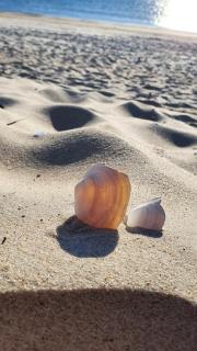 Smilties apartamentai - 1