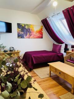 Hotel Marcincak*** - Mikulov - 4