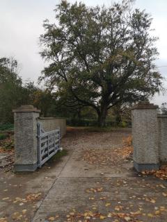 Kilpatrick Glebe - Crossabeg - 4