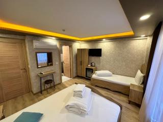 Golden Sail Hotel Old City - Istanbul - 9