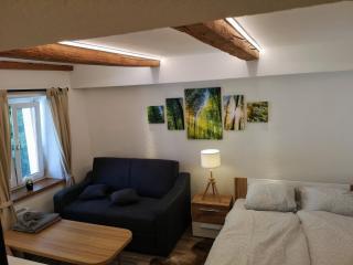 City Center Old Town Studio - Innsbruck - 6