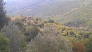 Podere di Maggio - Casa della Nonna - Santa Fiora - 5